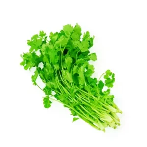 Coriander Leaves (Dhonia Pata) 100g ± 10 gm